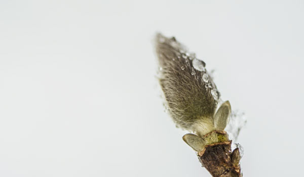 child-adolescent-counseling